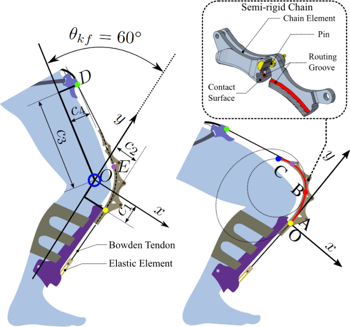 The semi-rigid chain concept at two knee flexion angles: 60° on the left and 100° on the right.