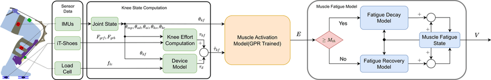 Schematic of the proposed online muscle activation estimation and fatigue evaluation approach and its interaction with the Exo-Muscle device.